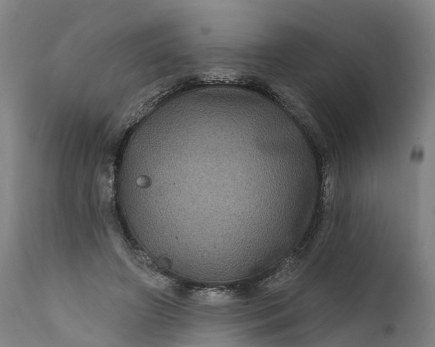 X0000111640498200907311255