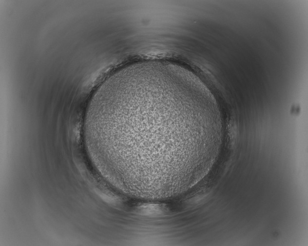 X0000111640499200907311255