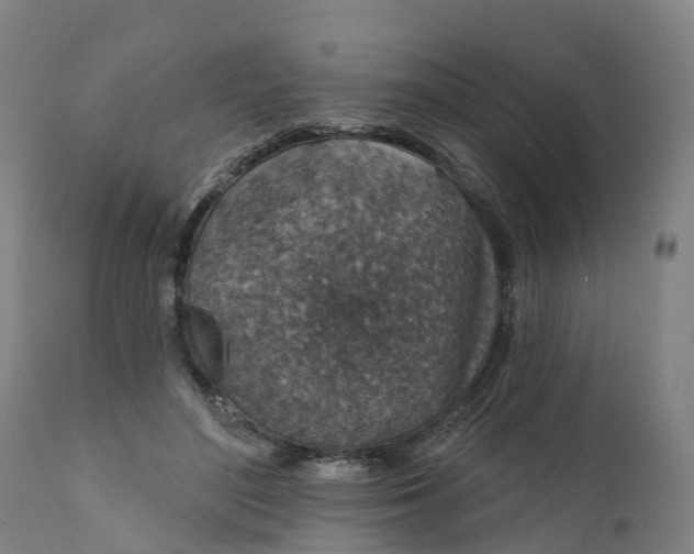 X0000111640500200907311255