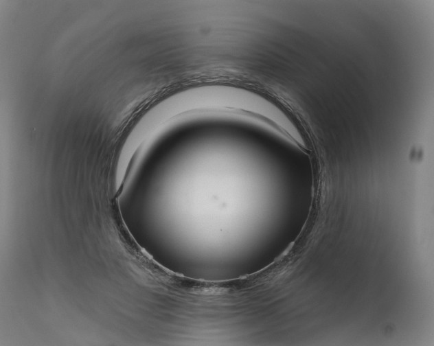 X0000111640501200907311255