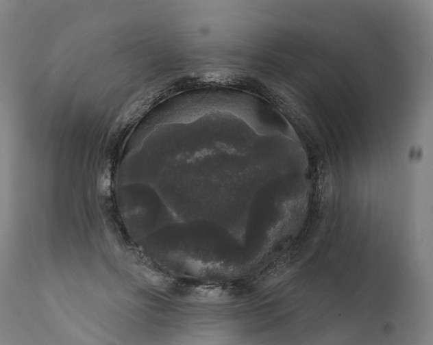 X0000111640502200907311255