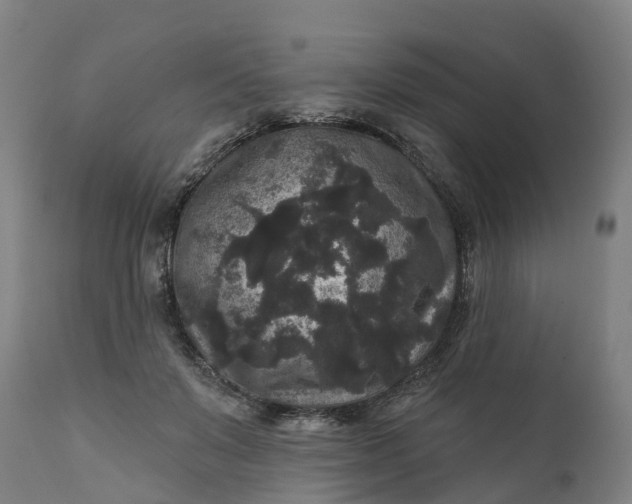 X0000111640503200907311255