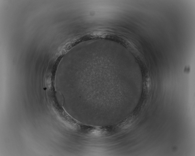 X0000111640504200907311255