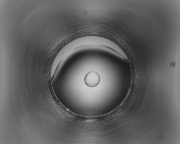 X0000111640505200907311255