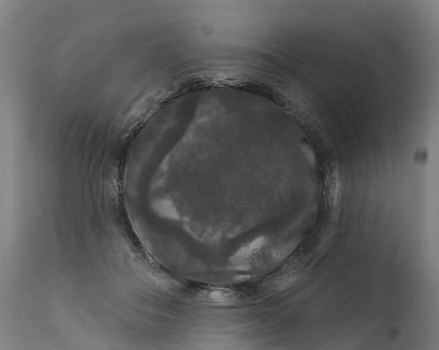 X0000111640506200907311255