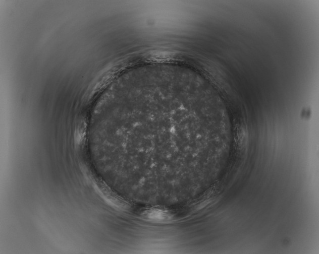 X0000111640507200907311255