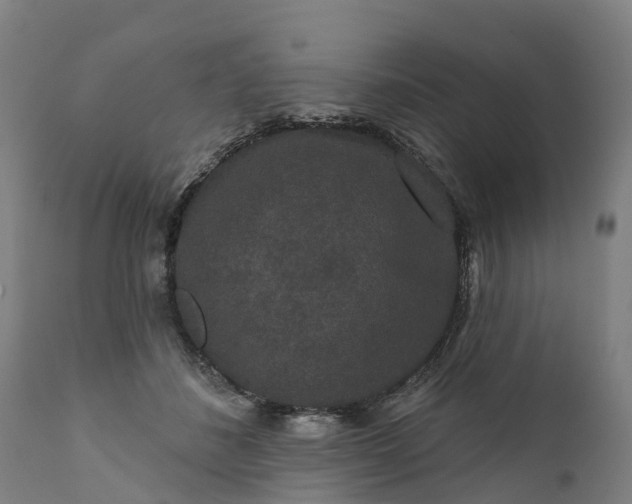 X0000111640508200907311255