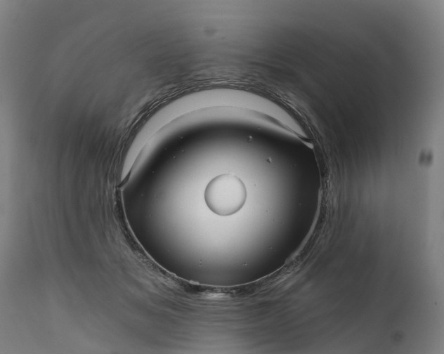 X0000111640509200907311255