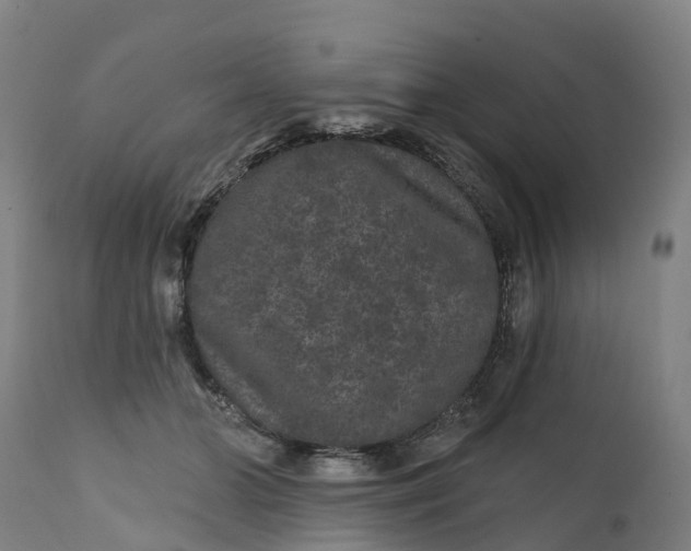 X0000111640510200907311255