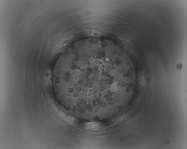 X0000111640511200907311255