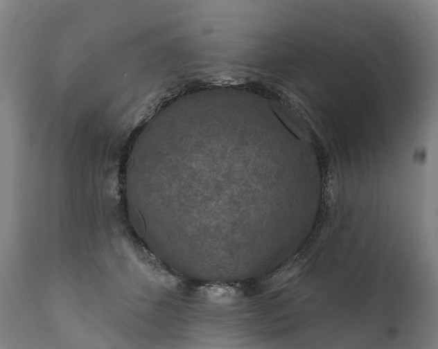 X0000111640512200907311255