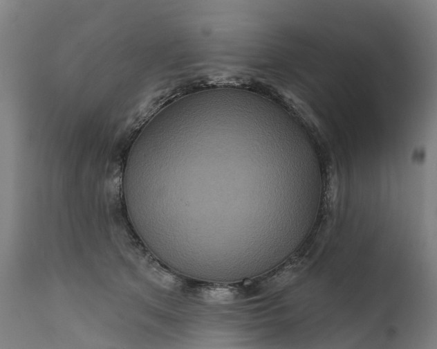 X0000111640513200907311255