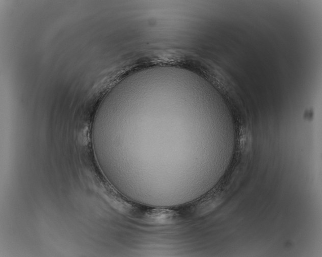 X0000111640514200907311255