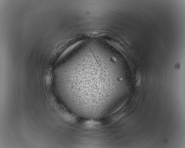 X0000111640515200907311255