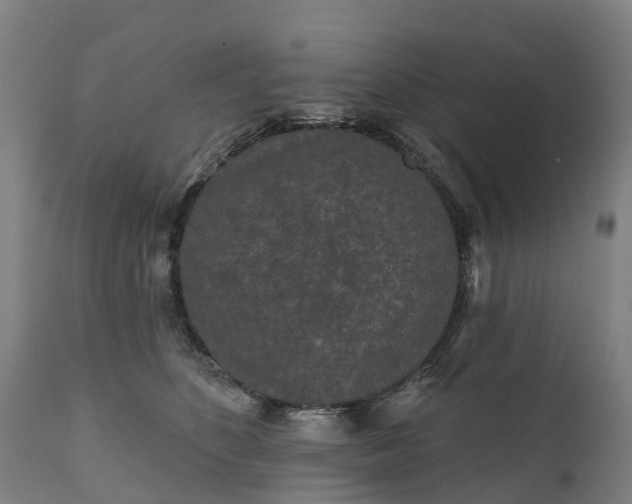 X0000111640516200907311255