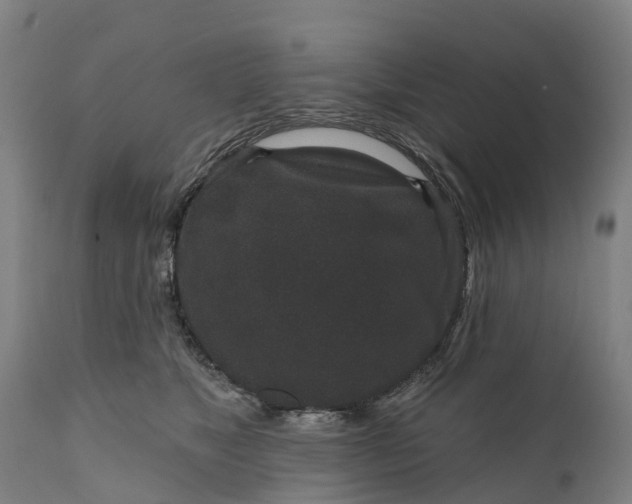 X0000111640517200907311255