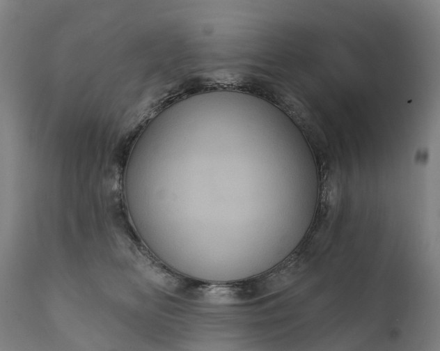 X0000111640518200907311255