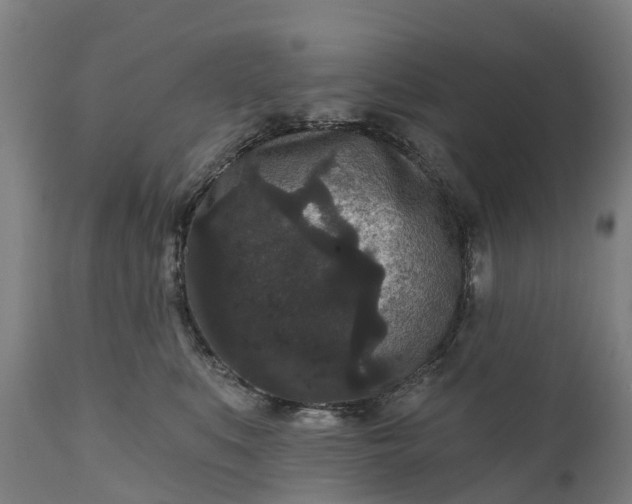 X0000111640519200907311255