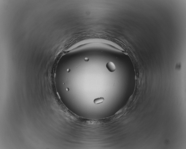 X0000111640520200907311255