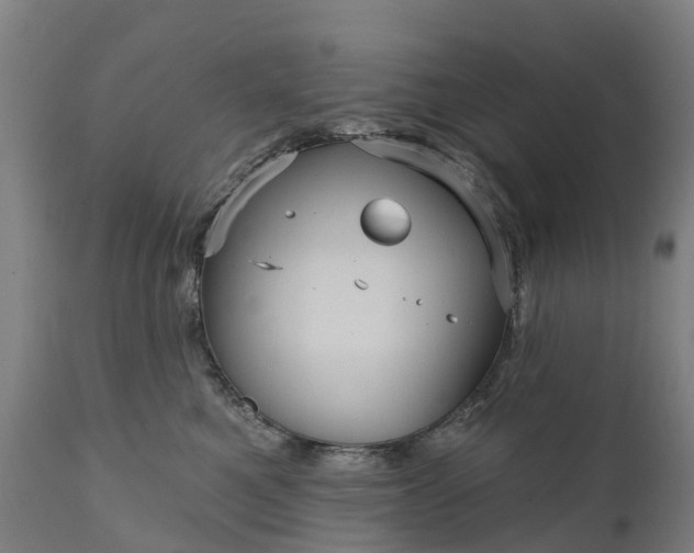 X0000111640521200907311255