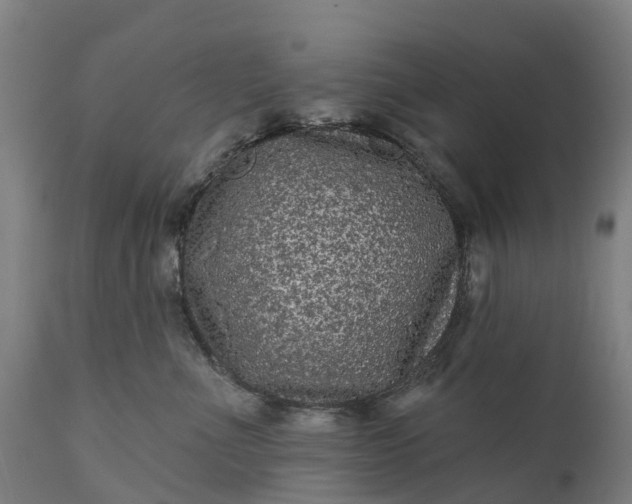 X0000111640523200907311255