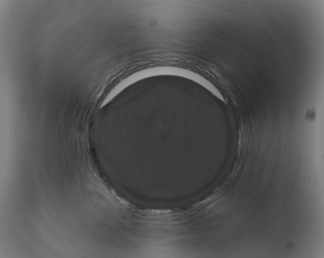 X0000111640524200907311255