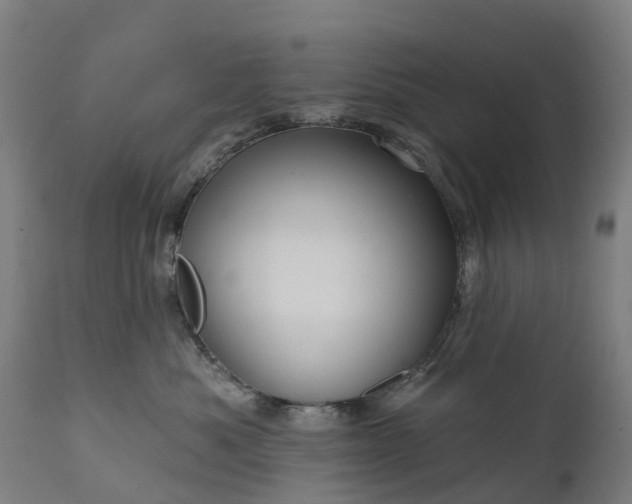 X0000111640525200907311255