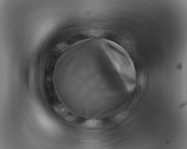 X0000111640526200907311255