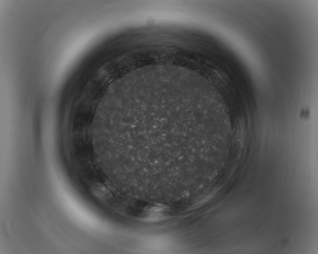 X0000111640527200907311255