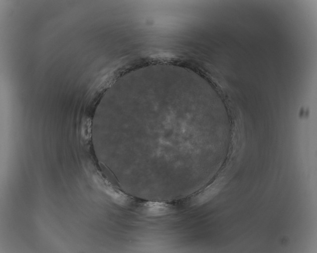 X0000111640528200907311255