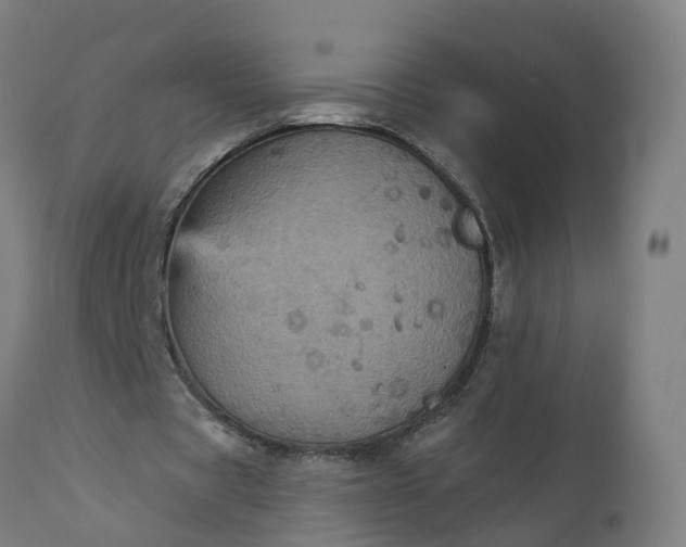 X0000111640529200907311254