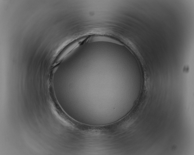 X0000111640530200907311254