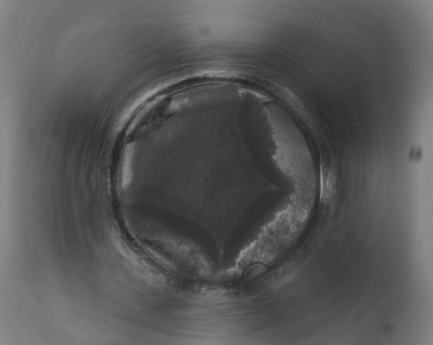 X0000111640531200907311254