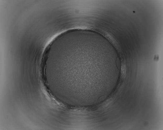 X0000111640532200907311254