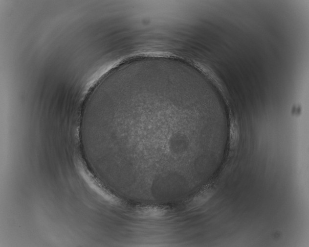 X0000111640533200907311254