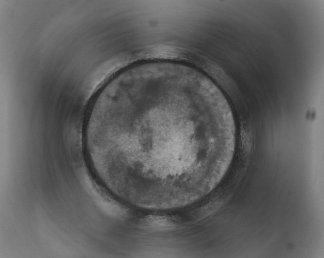 X0000111640534200907311254