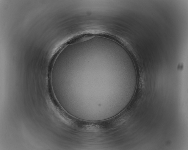 X0000111640535200907311254