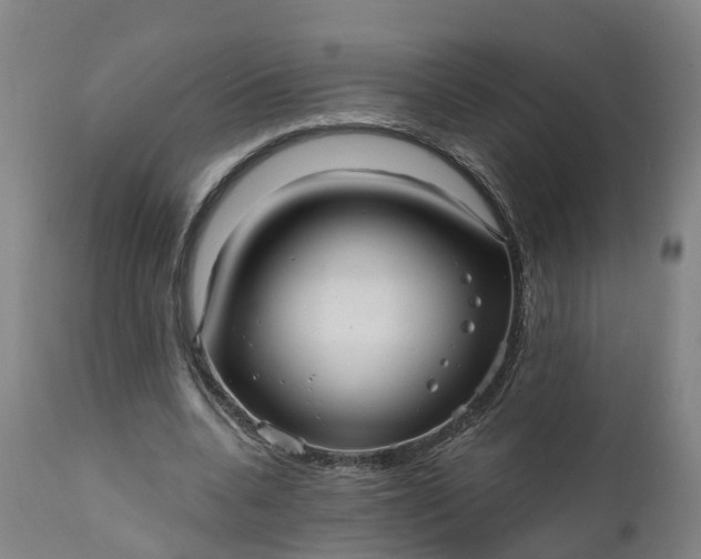 X0000111640536200907311254