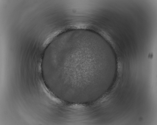 X0000111640537200907311254