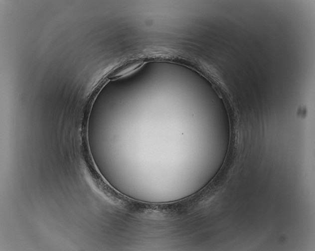 X0000111640538200907311254