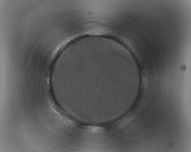 X0000111640539200907311254