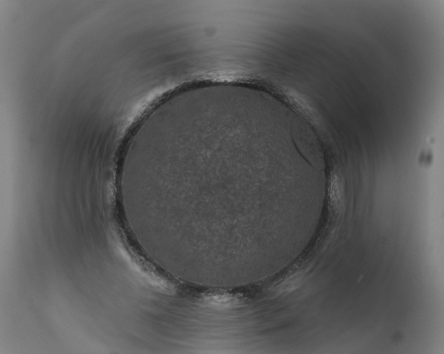 X0000111640540200907311254