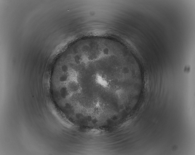 X0000111640542200907311254