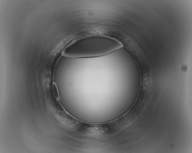 X0000111640544200907311254