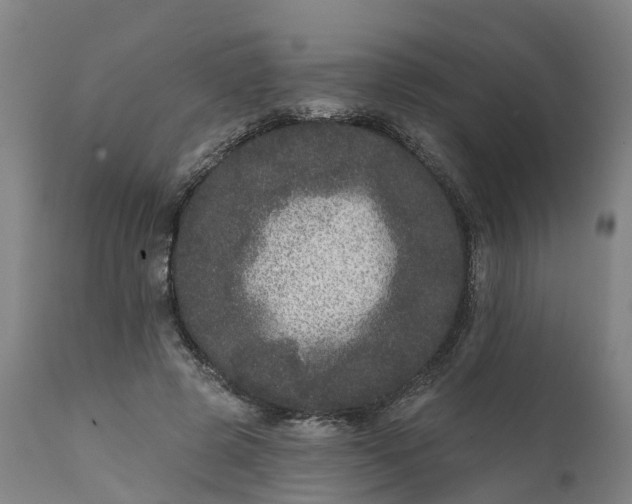 X0000111640545200907311254