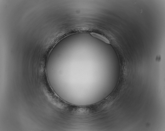 X0000111640546200907311254