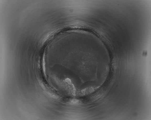 X0000111640547200907311255