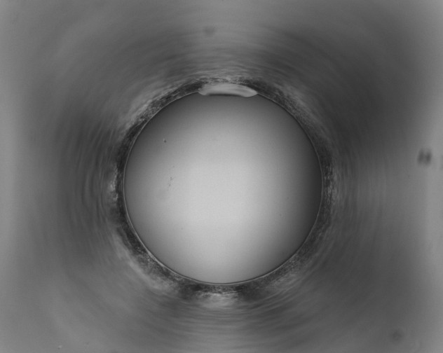 X0000111640548200907311255