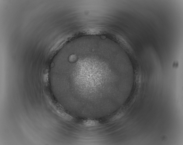 X0000111640549200907311255