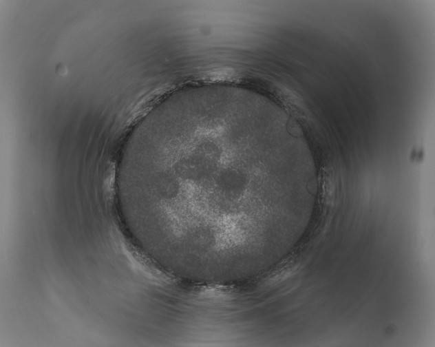 X0000111640550200907311255